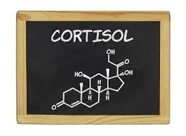 The Role of Cortisol in Men: Understanding Low and High Levels