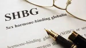 Sex Hormone Binding Globulin (SHBG) in Men: Functions, Symptoms of Imbalance, and Health Implications